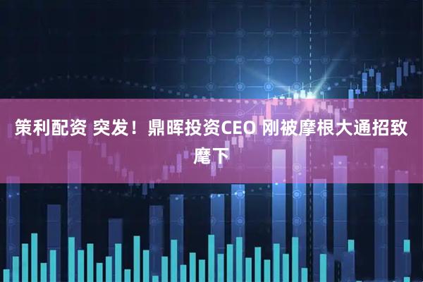 策利配资 突发！鼎晖投资CEO 刚被摩根大通招致麾下