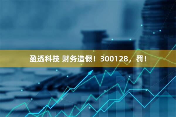 盈透科技 财务造假！300128，罚！