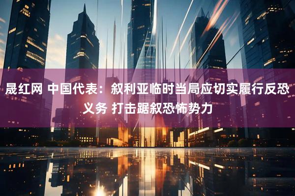 晟红网 中国代表：叙利亚临时当局应切实履行反恐义务 打击踞叙恐怖势力