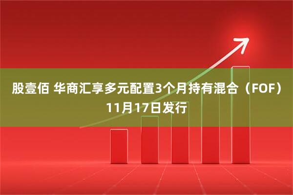 股壹佰 华商汇享多元配置3个月持有混合（FOF）11月17日发行
