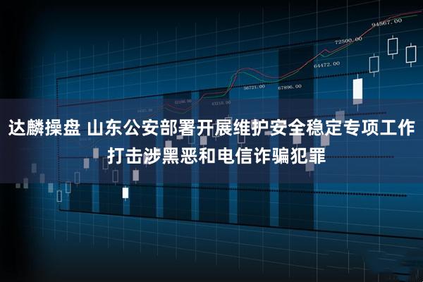 达麟操盘 山东公安部署开展维护安全稳定专项工作  打击涉黑恶和电信诈骗犯罪