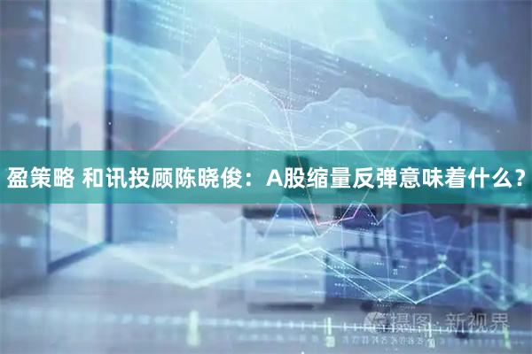 盈策略 和讯投顾陈晓俊：A股缩量反弹意味着什么？