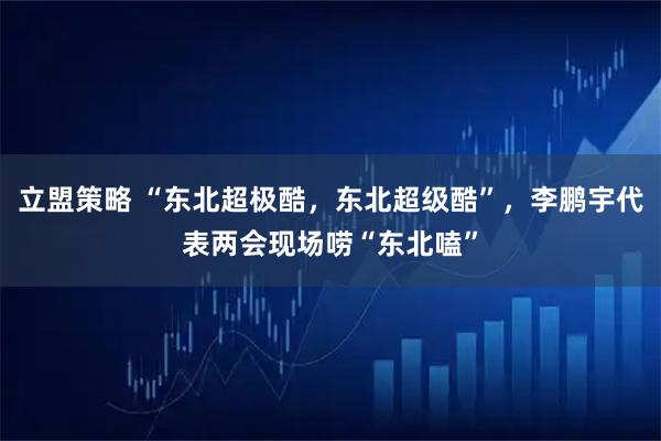 立盟策略 “东北超极酷，东北超级酷”，李鹏宇代表两会现场唠“东北嗑”