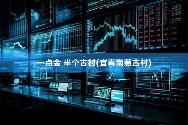 一点金 半个古村(宜春南惹古村)