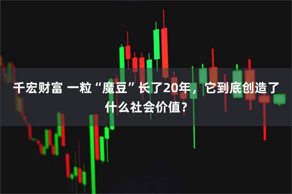 千宏财富 一粒“魔豆”长了20年,它到底创造了什么社会价值?